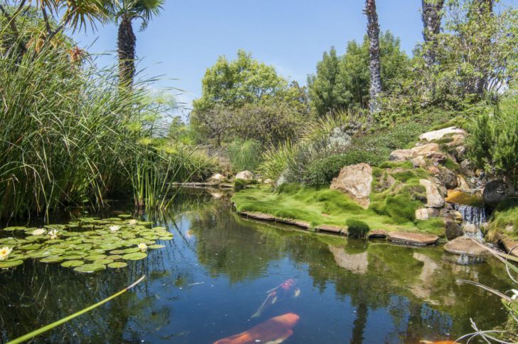 Take A Look Inside Oprah Winfrey's Mammoth $90 Million Montecito Mansion_24
