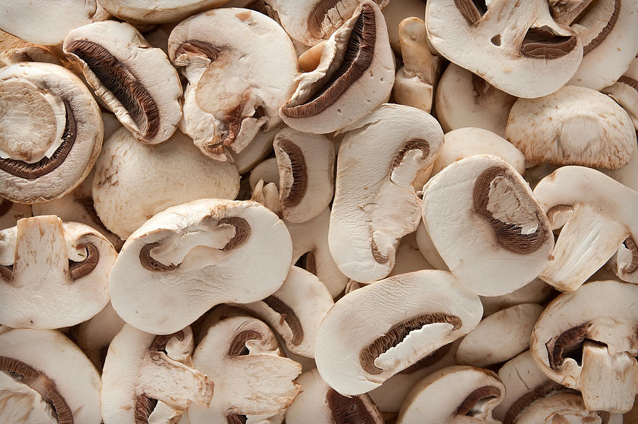 Fresh Mushrooms Steve Gadomski