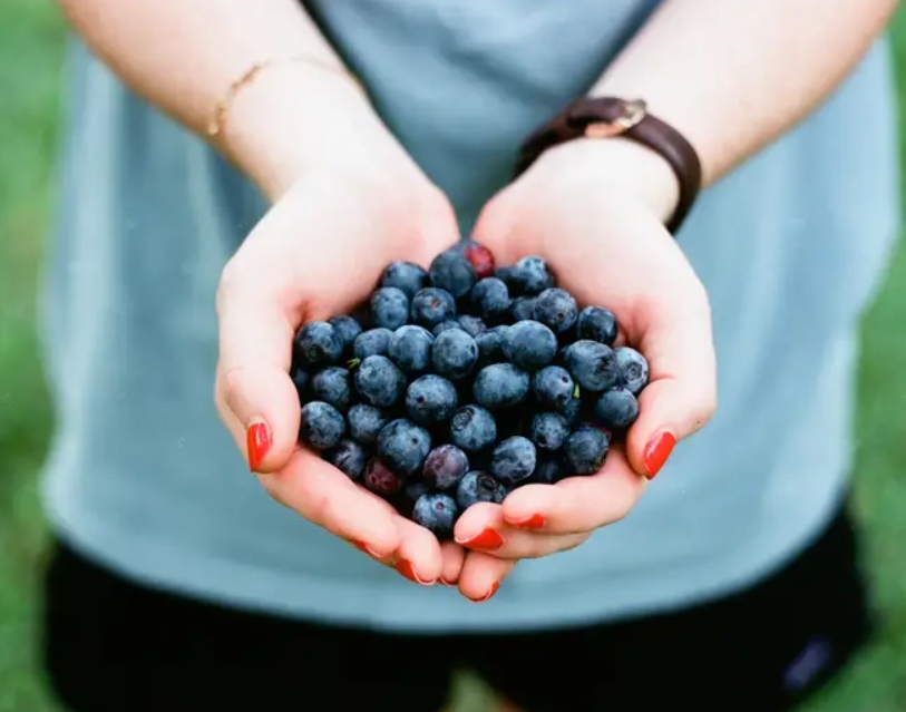 Buy Organic Berries