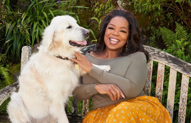 a-look-inside-oprah-winfreys-mammoth-90-million-montecito-mansion_1