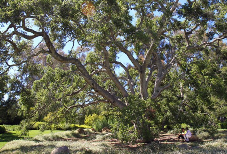 a-look-inside-oprah-winfreys-mammoth-90-million-montecito-mansion_20