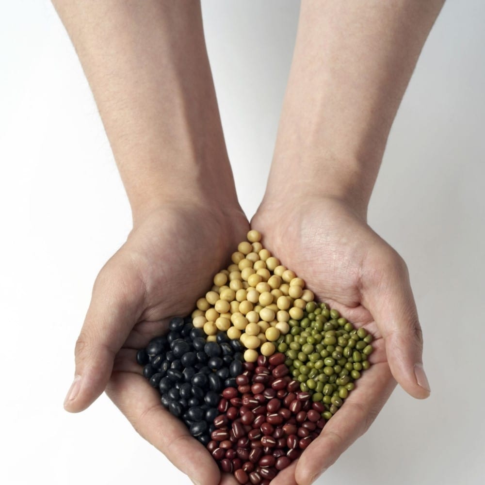 Legumes