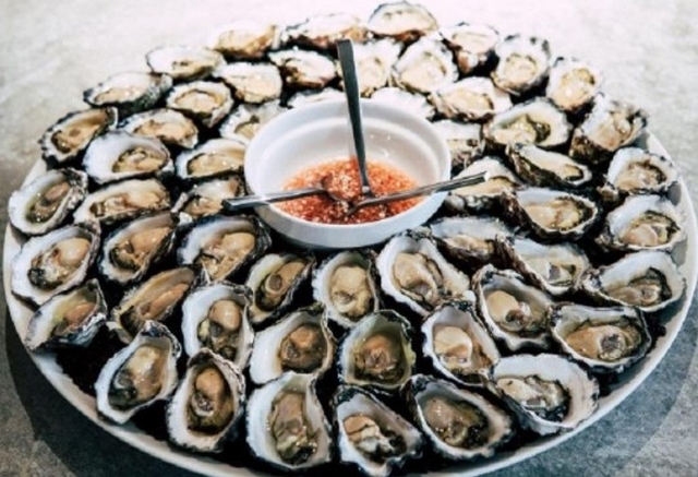 Oysters