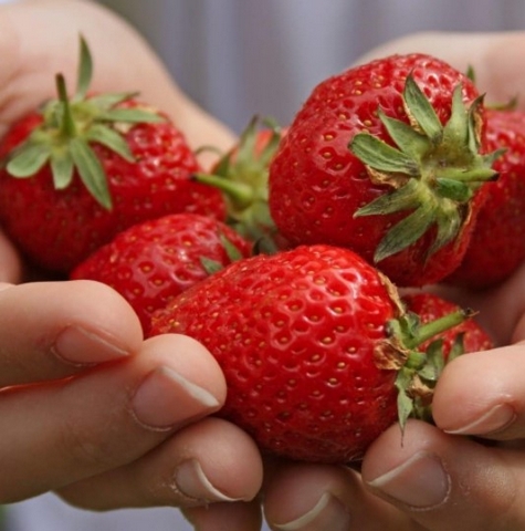 Strawberries